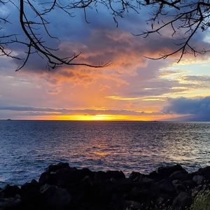 Meet your Posher, Josie